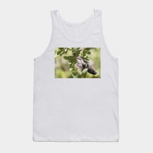 Hummingbird Tank Top